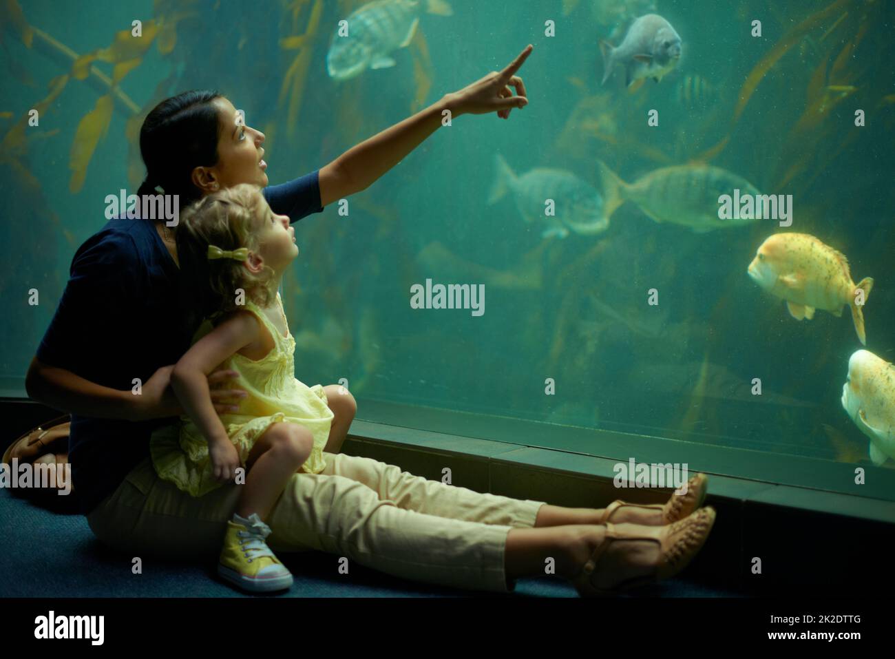 Shes focused on those fish. Cropped shot of a little girl on an outing to the aquarium. Stock Photo