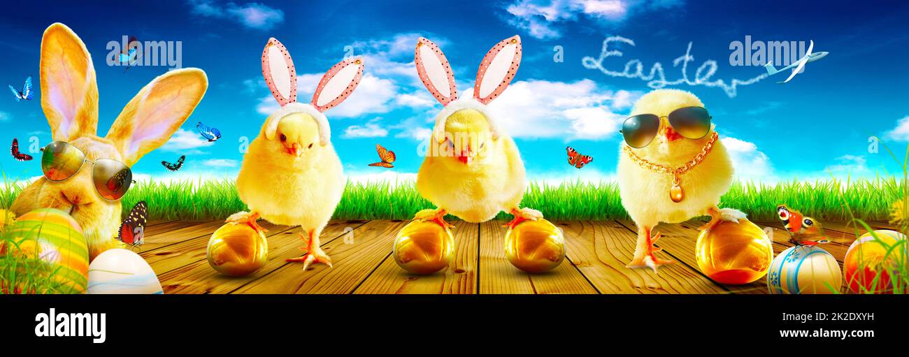 An Easter decoration with cool chicken. Easter holiday concept. Stock Photo