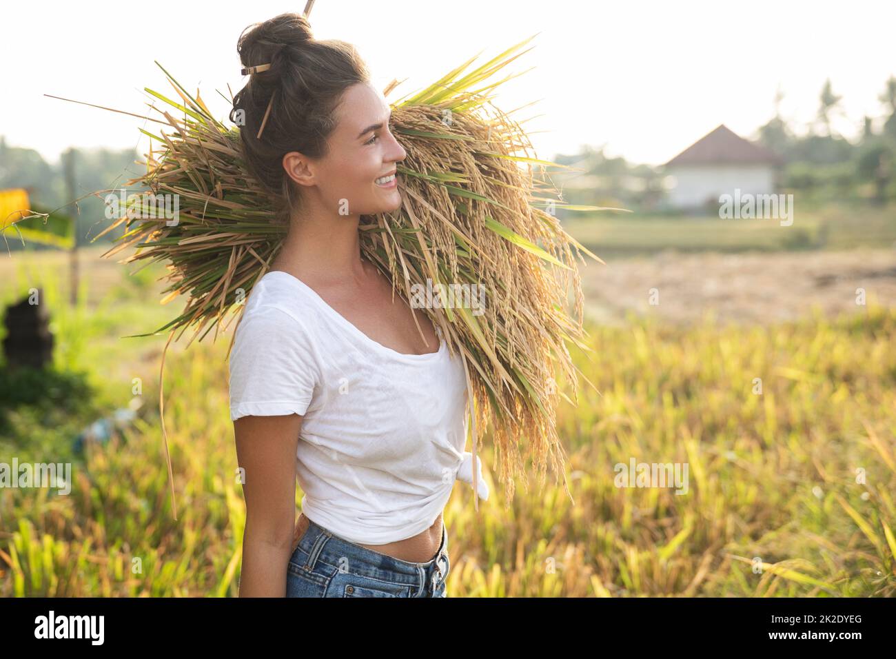 Happy woman farmer during harvesting on the rice field Stock Photo