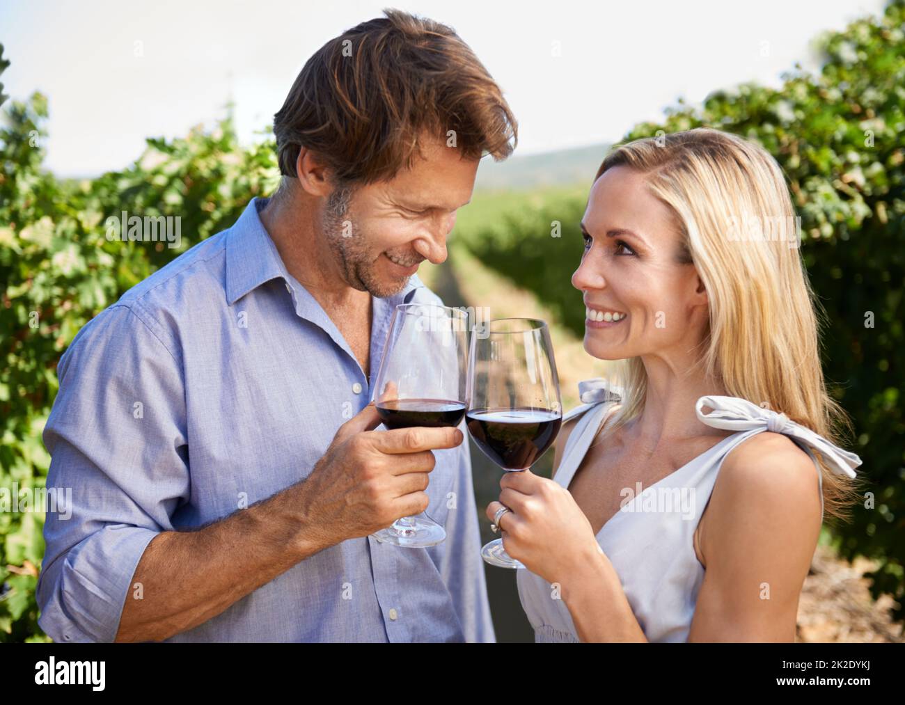 Heres to wine country. Shot of a happy couple enjoying wine tasting in a vineyard. Stock Photo