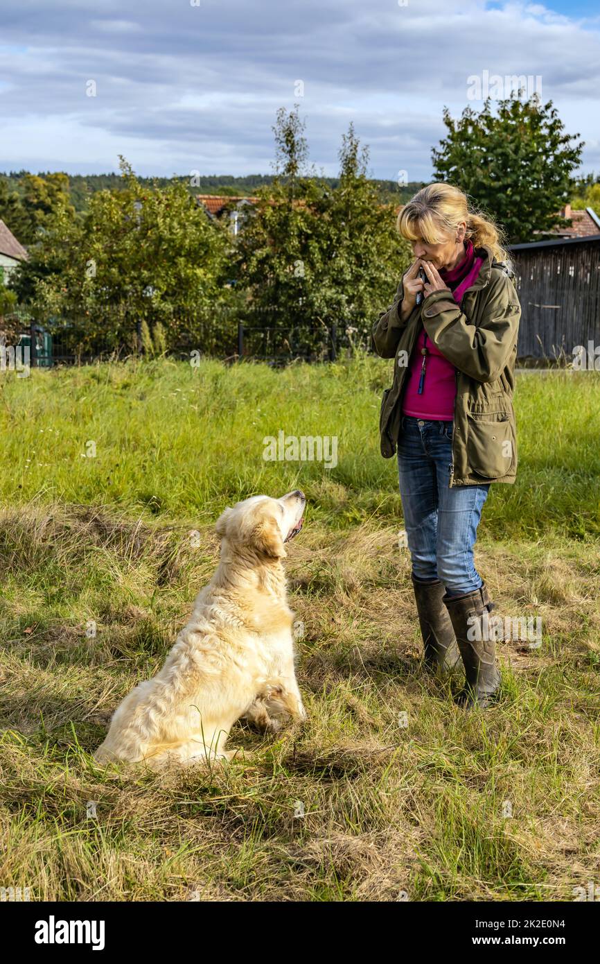 Dog trainer trains a golden retriever on a meadow in autumn. Stock Photo