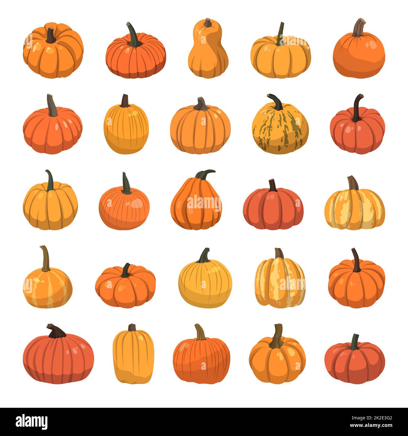 Set of realistic big orange pumpkins on white background Vector Stock