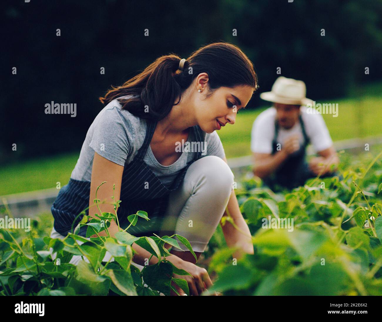 Nothing grows a garden like hard work. Shot of a young woman working in a garden with her husband in the background. Stock Photo
