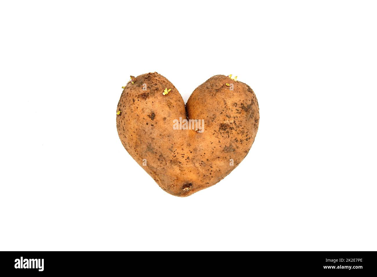 Heart shaped potato isolated on white background Stock Photo - Alamy