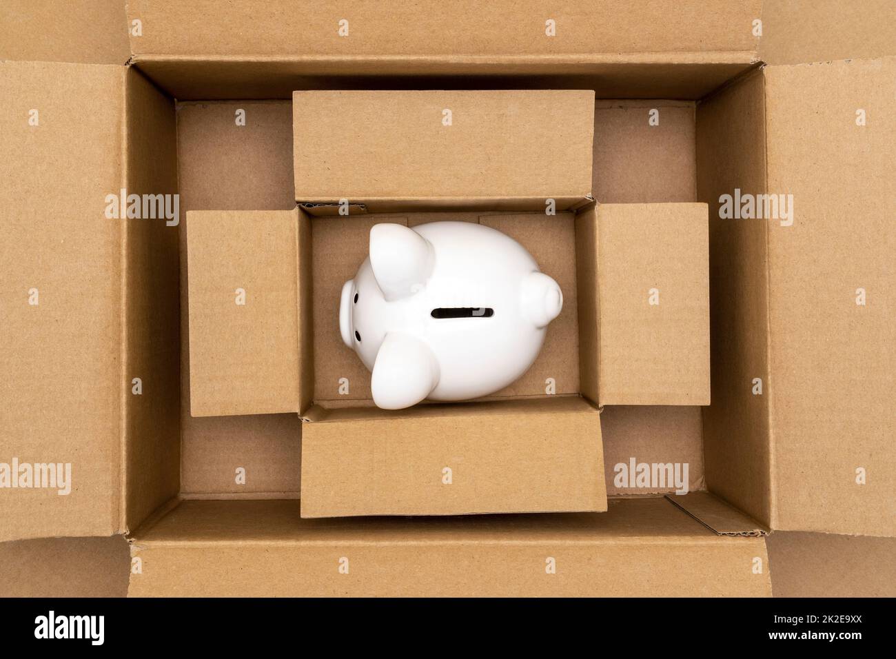 Ceramic piggy bank in open cardboard boxes Stock Photo