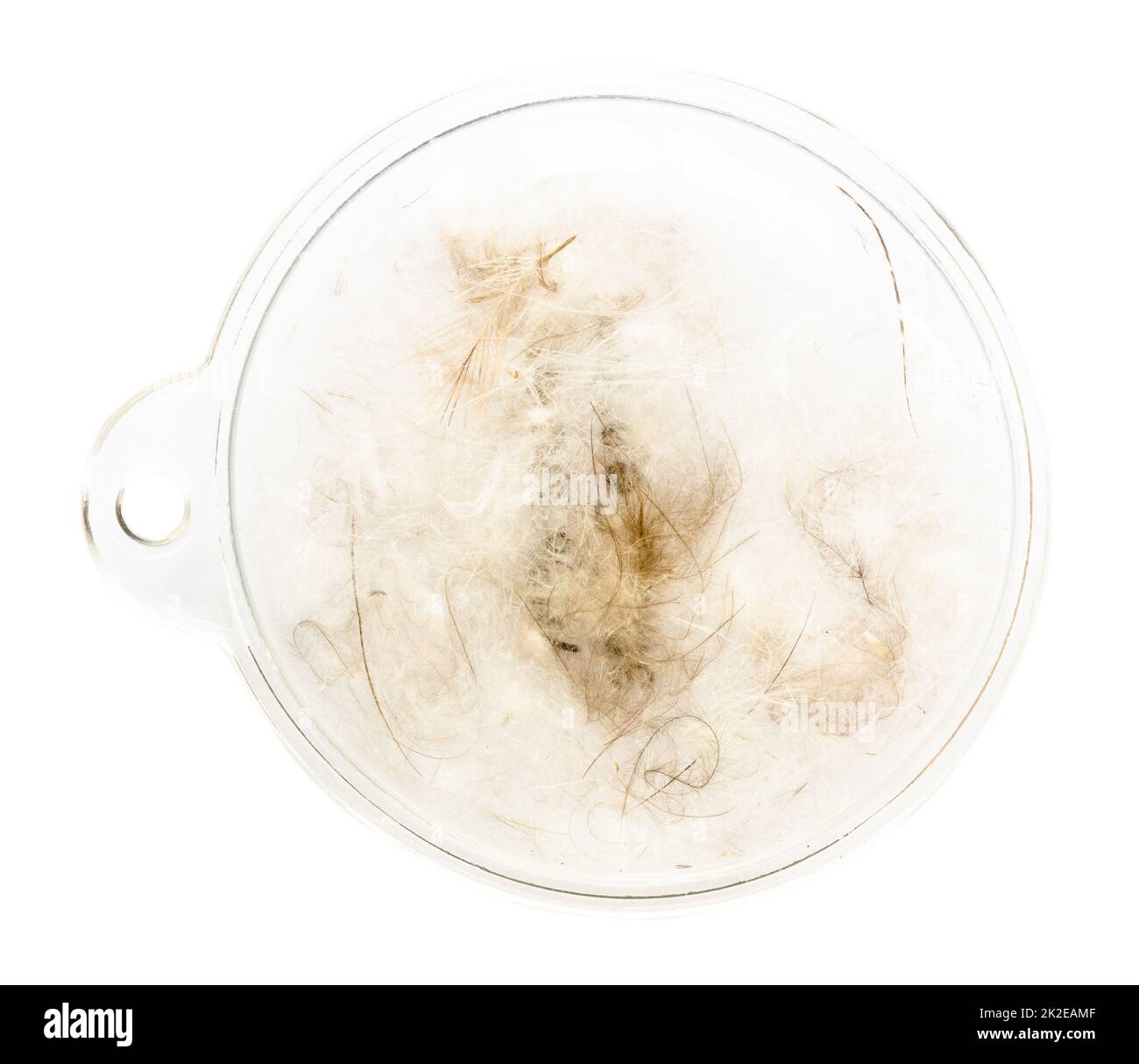 White feather jacket hires stock photography and images Alamy