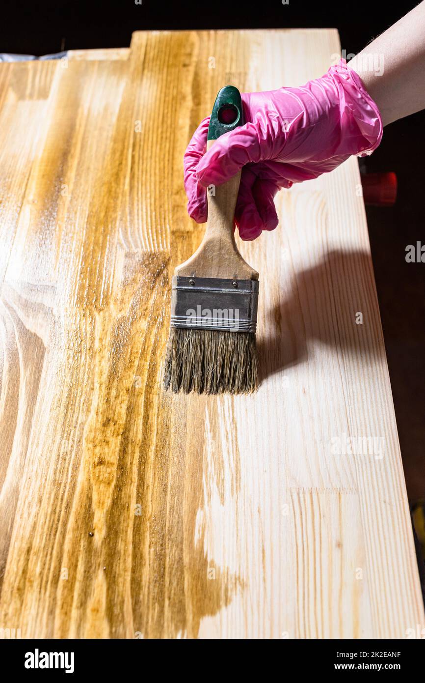solid board is hued with wood stain by paintbrush Stock Photo