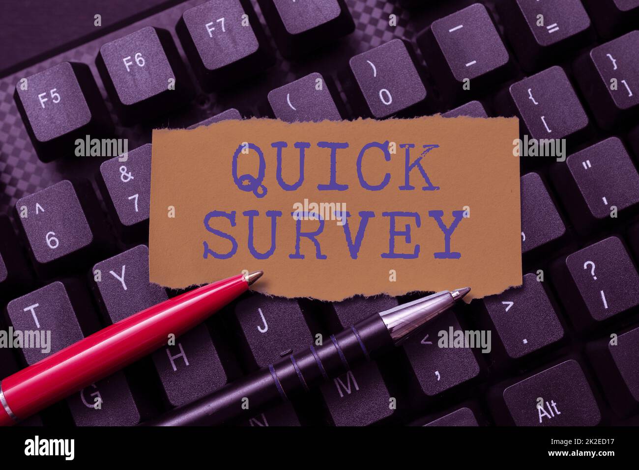 Text caption presenting Quick Survey. Word Written on questionnaire