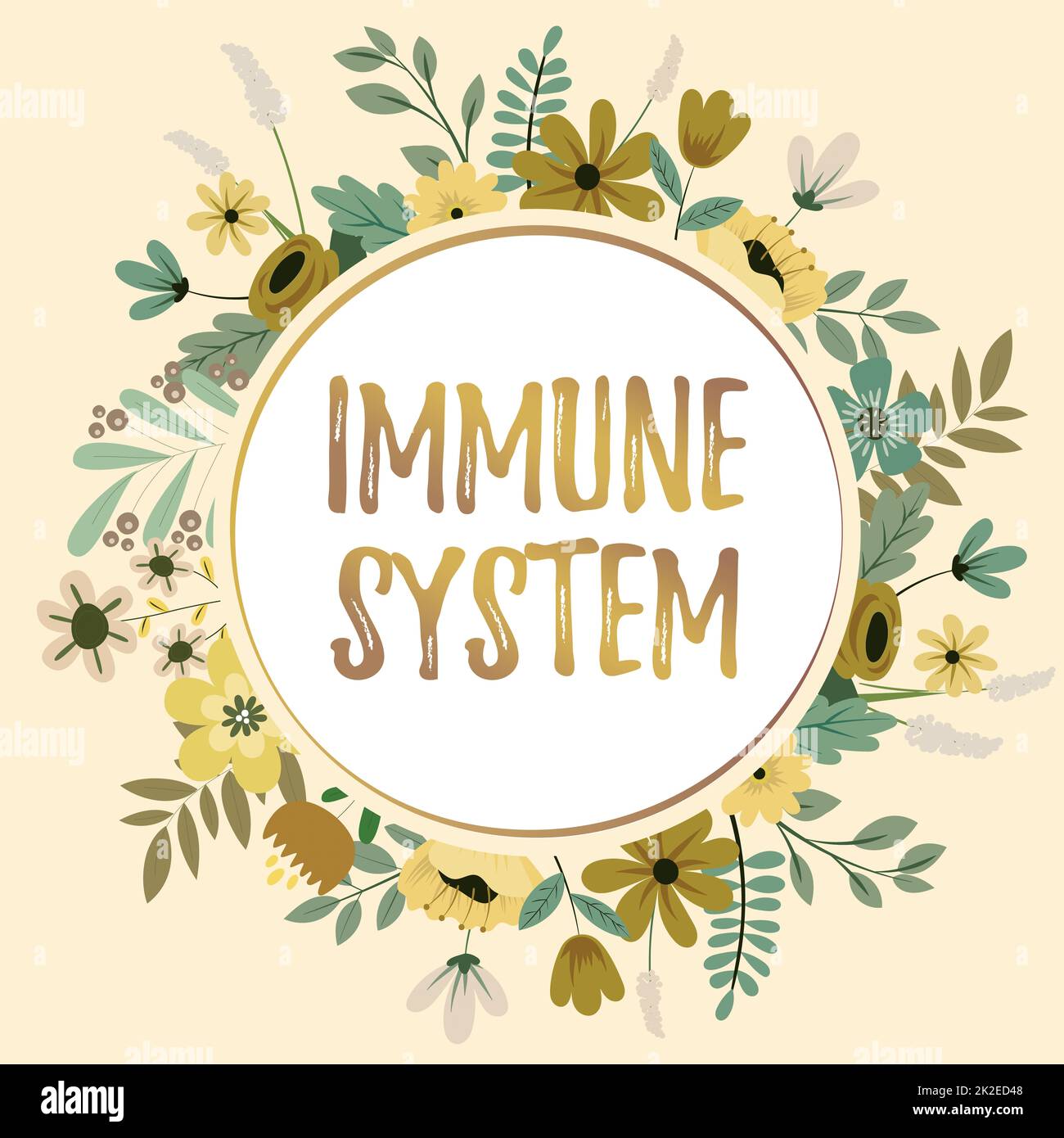 Sign displaying Immune System. Concept meaning host defense system comprising many biological structures Text Frame Surrounded With Assorted Flowers Hearts And Leaves. Stock Photo