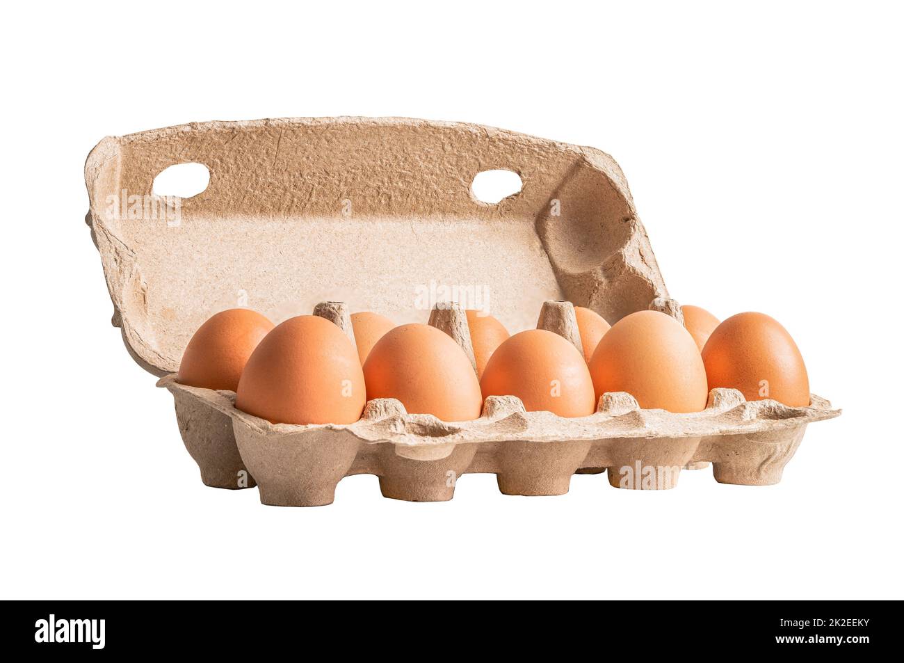 Organic fresh egg in cardboard container pack isolated on white