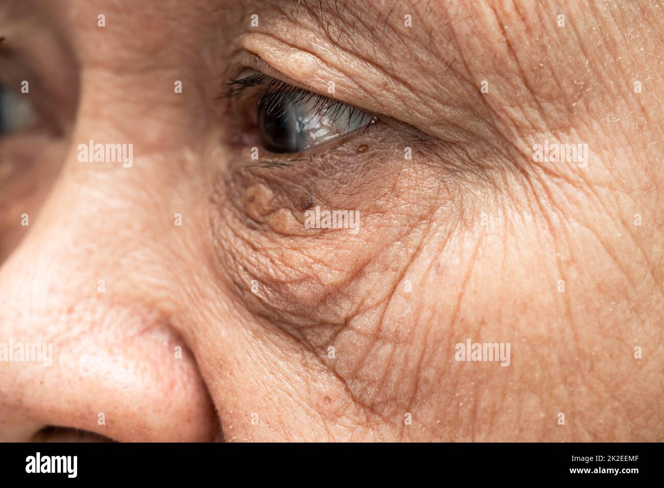 Asian elderly woman face and eye with wrinkles, portrait closeup view. Stock Photo