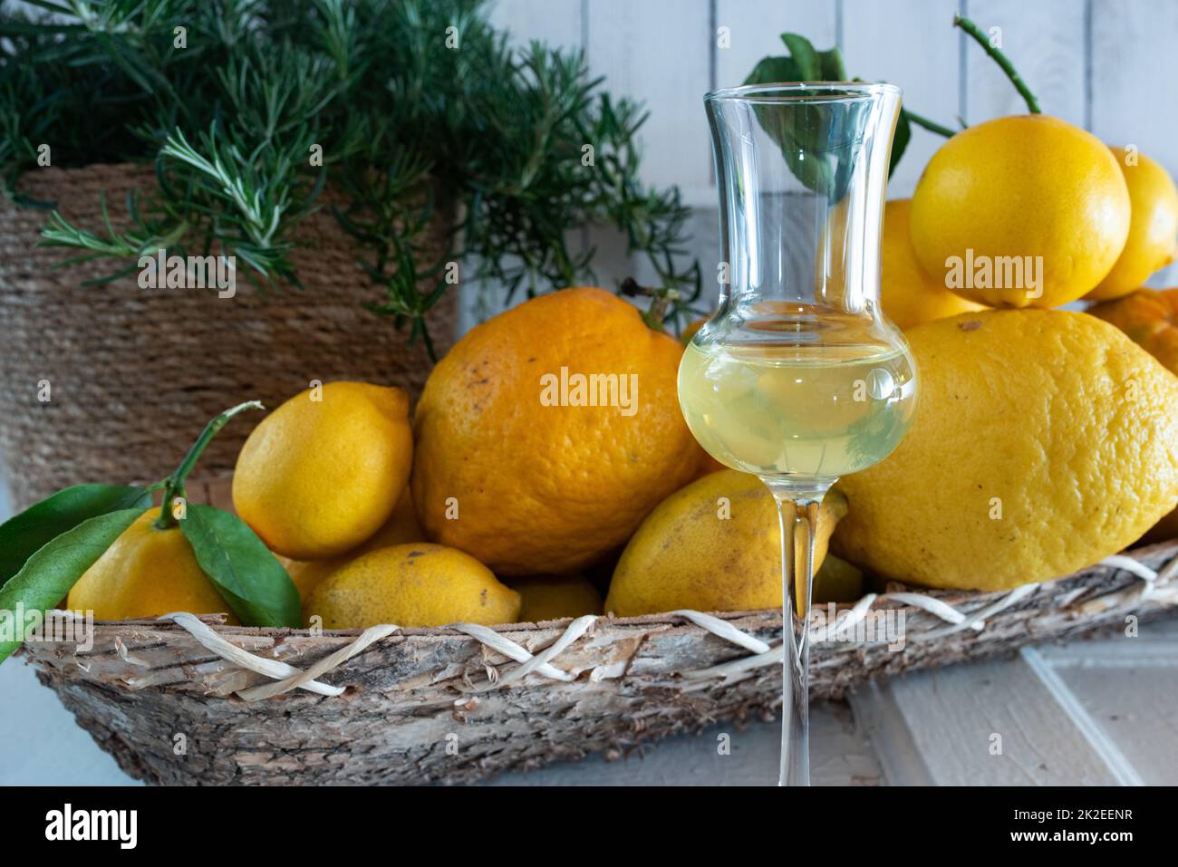 Limoncello liqueur and citrus fruits Stock Photo
