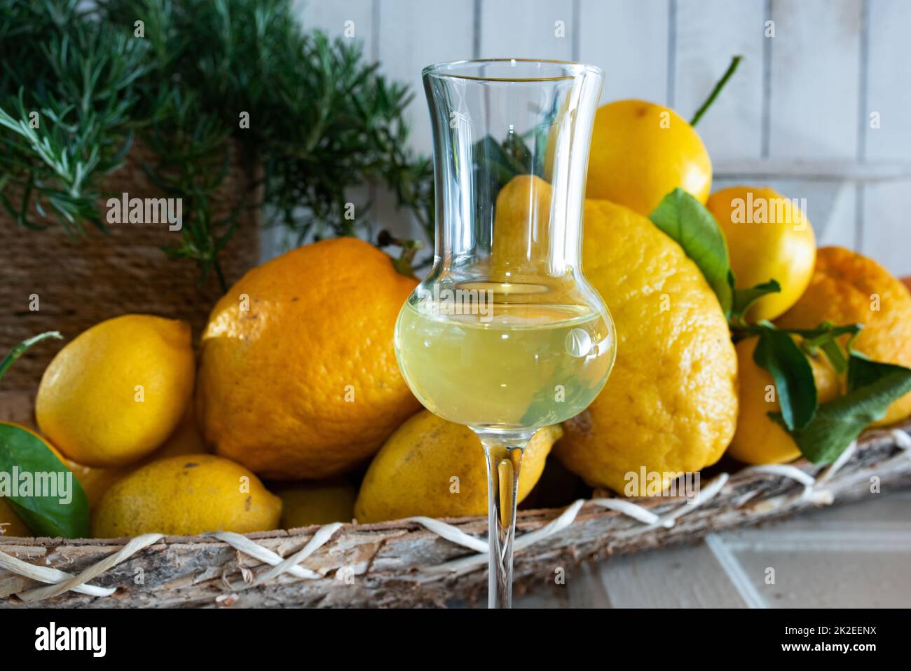 Limoncello liqueur and citrus fruits Stock Photo
