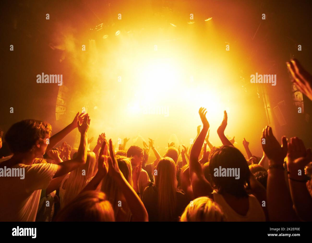 Rearview of a crowd cheering at a concert This concept was created