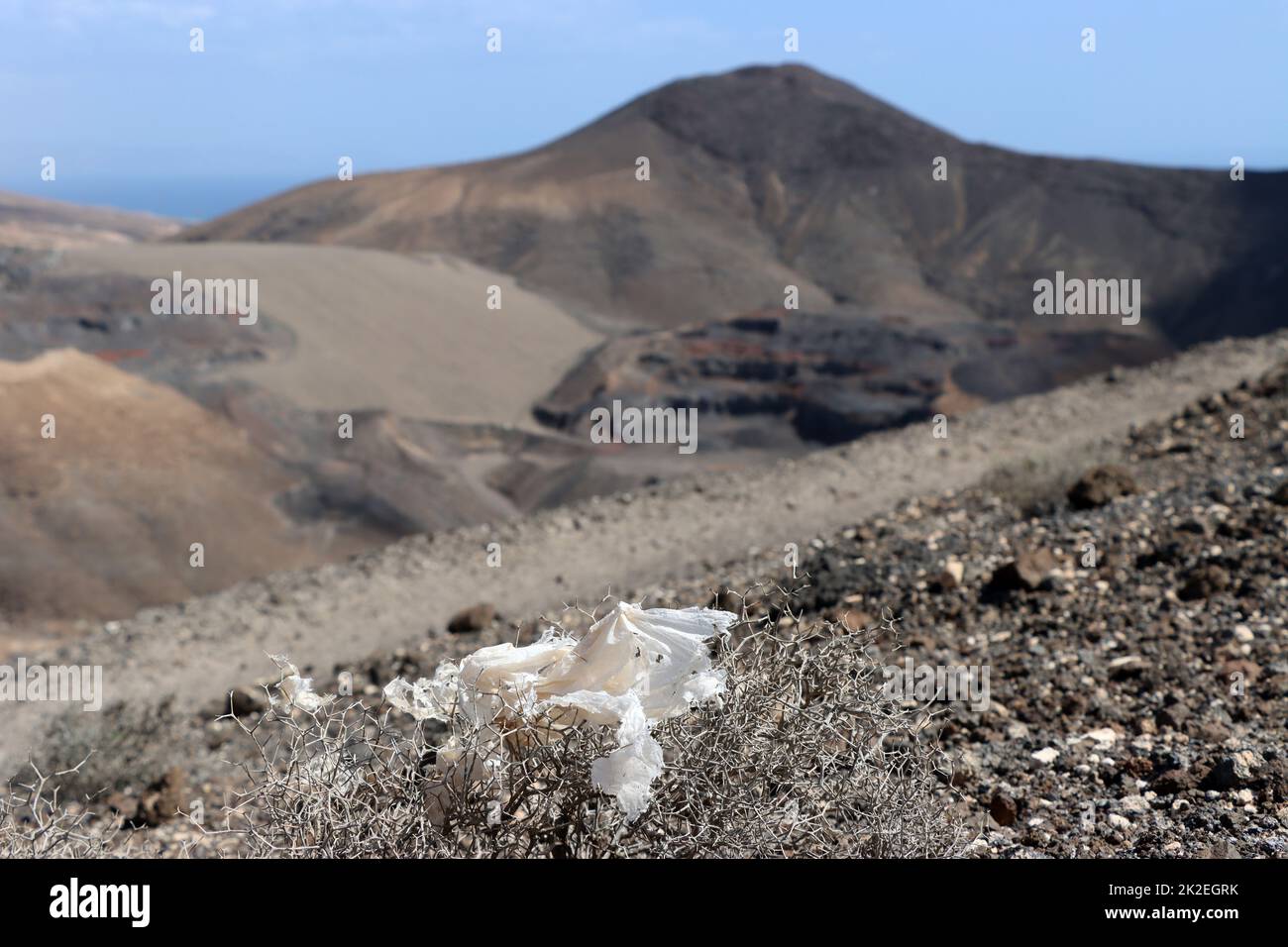 Wanderung zum Talahijas-Berg zwischen Vinamar-Schlucht und dem Vallmelo da la Cal-Tal - Plastiktüte hat sich in einem Strauch verfangen, Fuerteventura Stock Photo