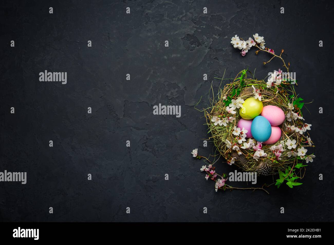 Nest with Easter eggs and blooming branches on black background Stock Photo