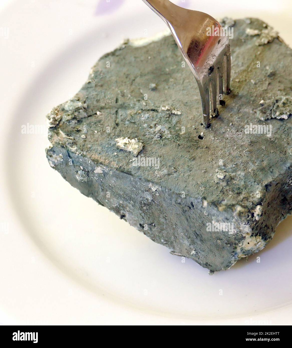 moldy cheese,close-up very moldy cheese,penicillin raw material cheese mold Stock Photo