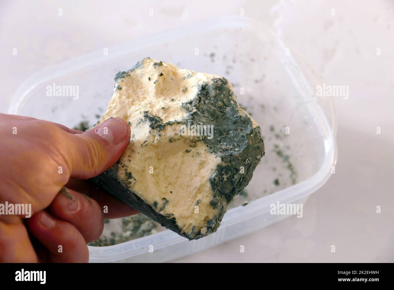 The harms of consuming green moldy cheese Stock Photo