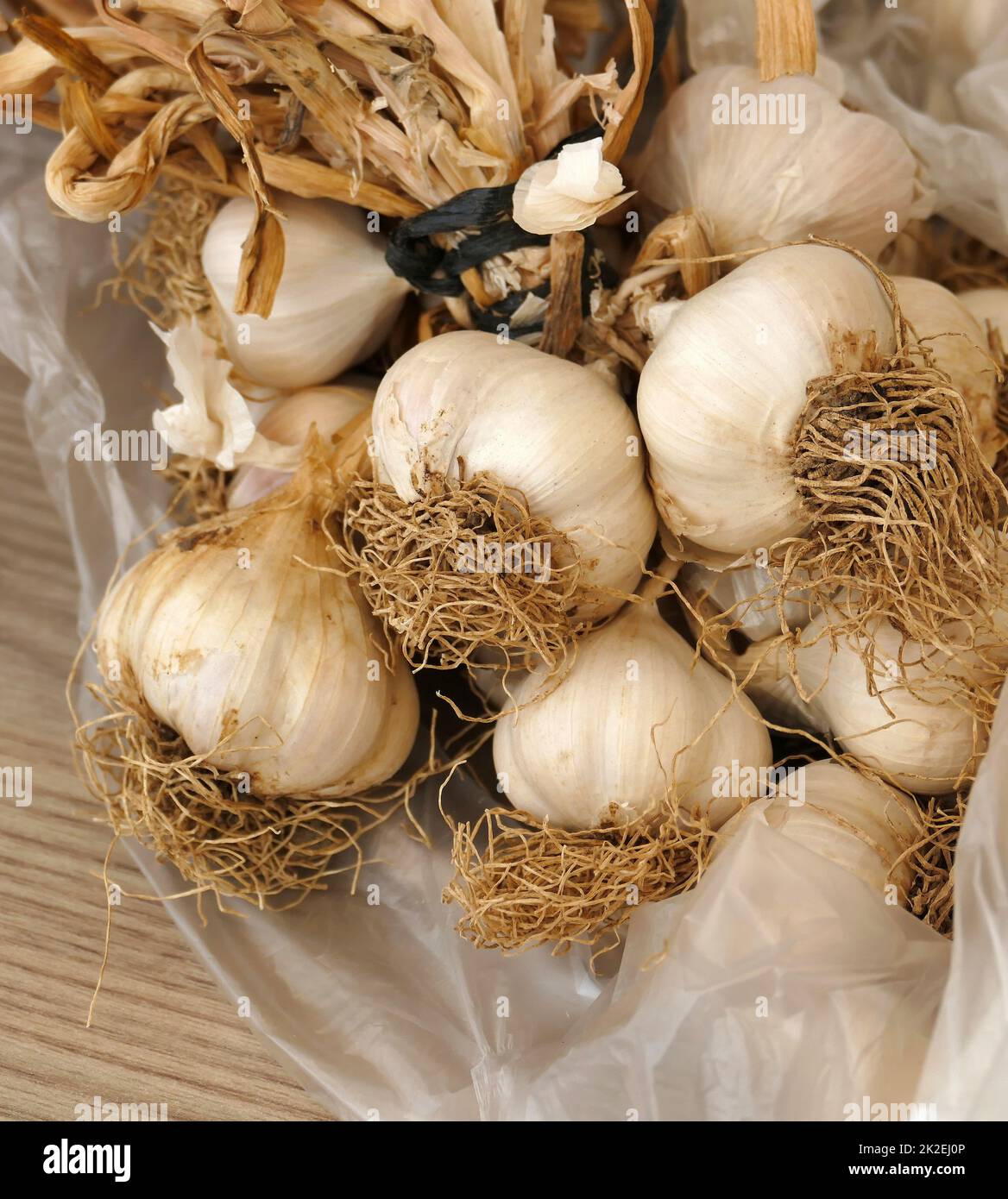 a bunch of dried garlic lots of dried garlic heads,closeup dried