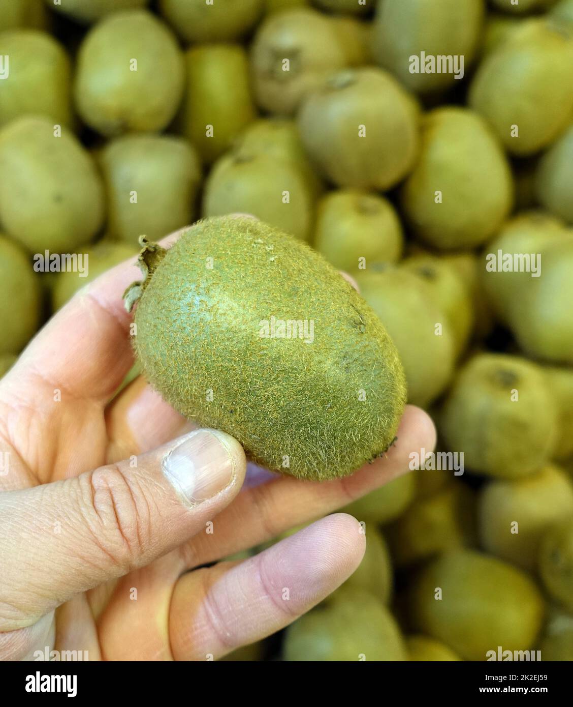 Fresh kiwi fruit in the greengrocer department, kiwi fruit on sale, lots of kiwi fruit Stock Photo