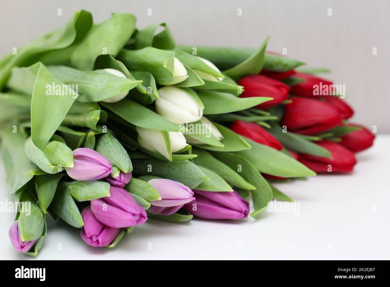 Close up of bouquet with beautiful tulips for Valentine's Day. Stock Photo