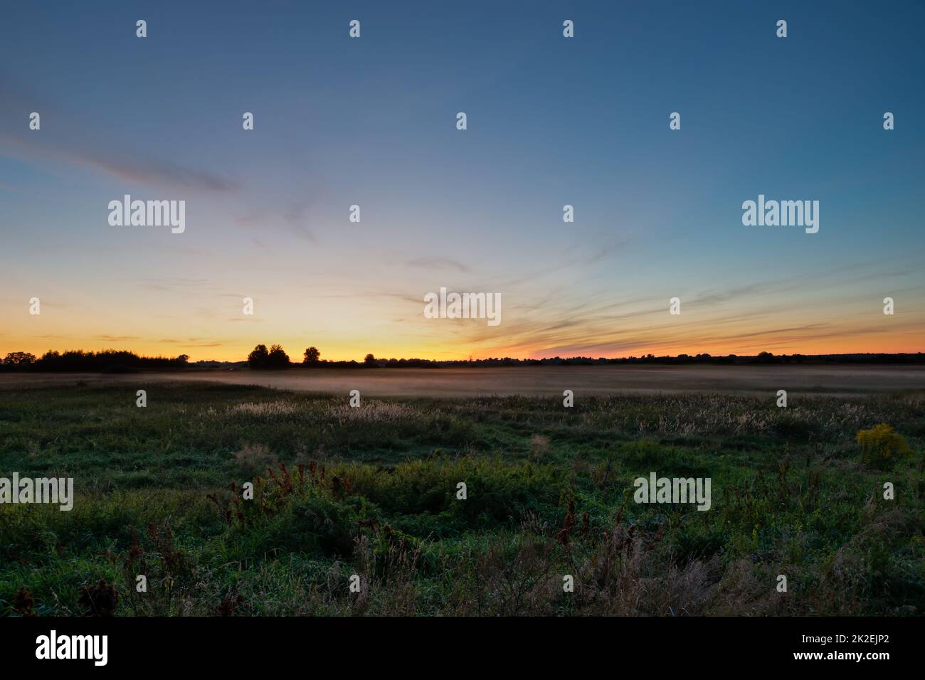 Green meadow light fog hi-res stock photography and images - Alamy