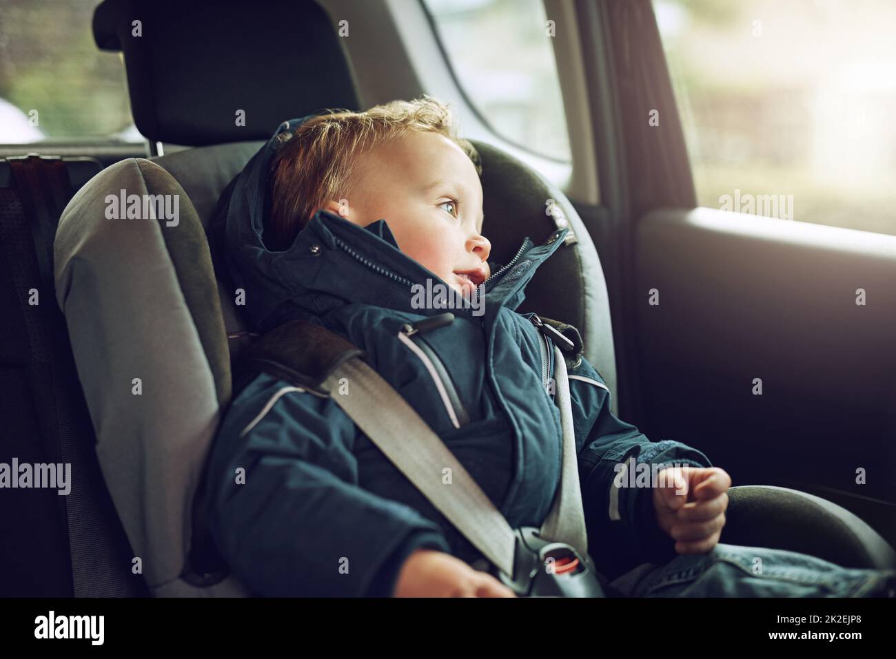 I wonder where were heading off to.... Cropped shot of an adorable