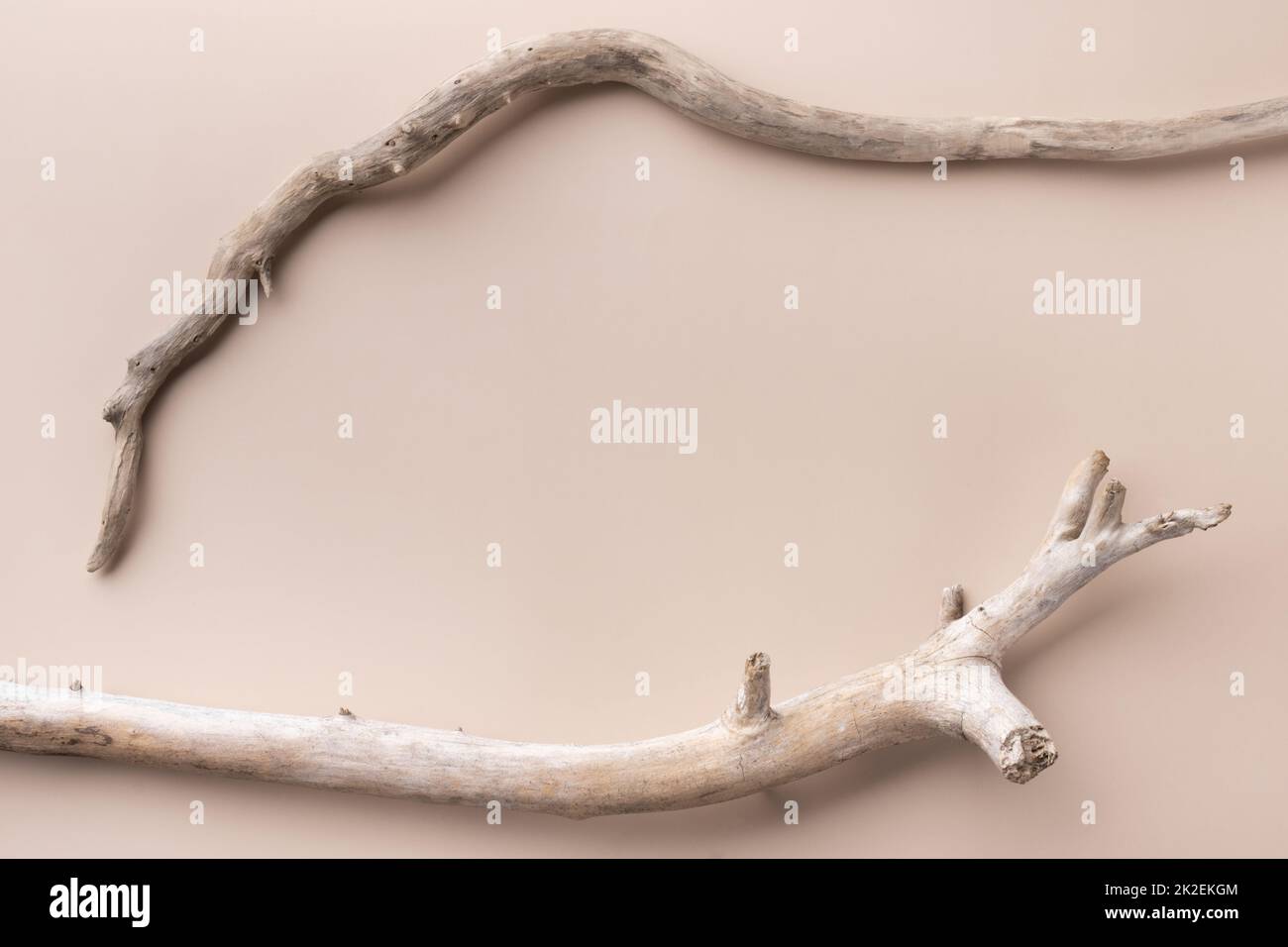 Twigs, set macro dry branches birch isolated on white background Stock  Photo by ©dusan964 62587859