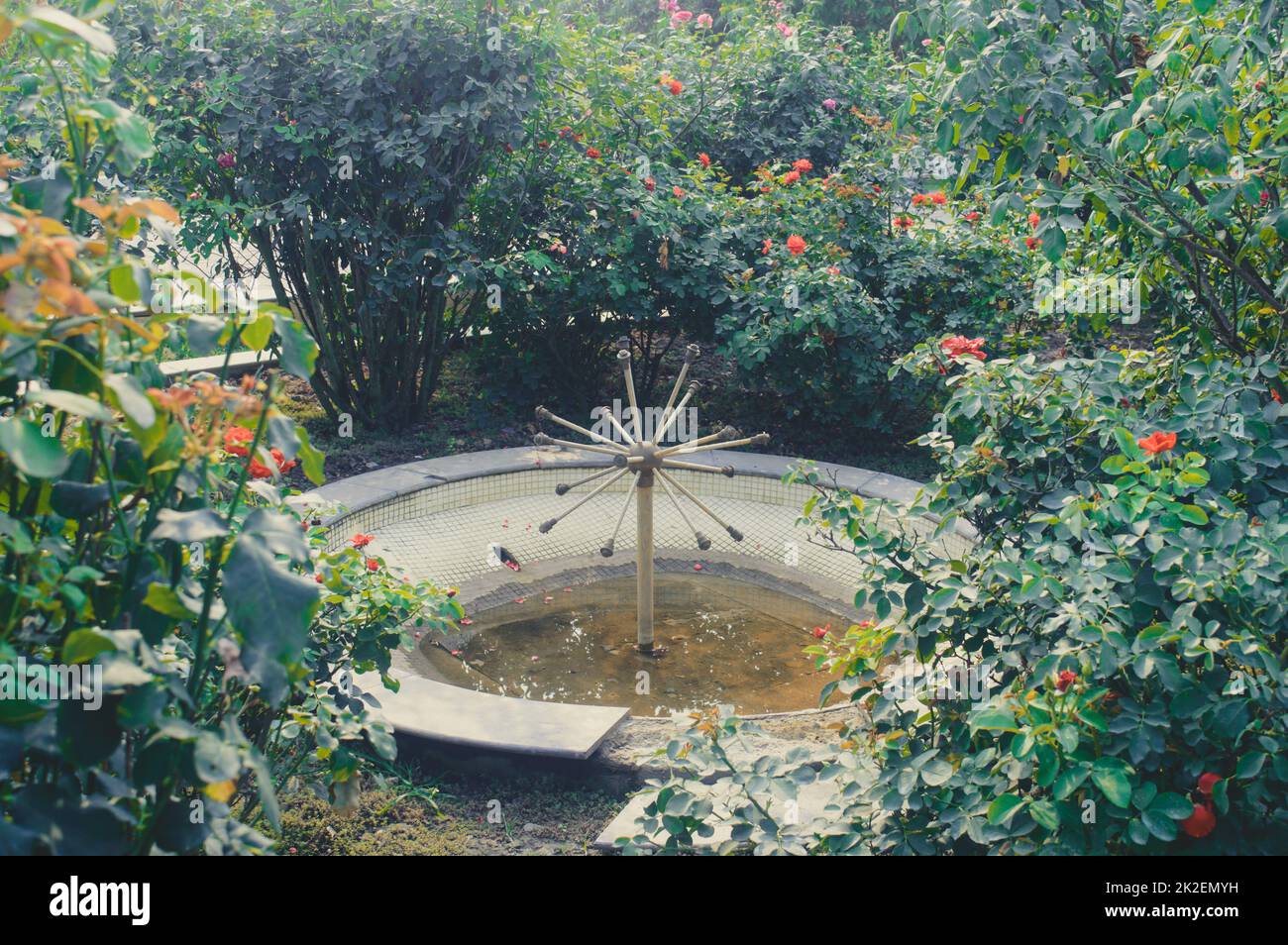 Beautiful Garden Water Fountain in the Yard Ground on a Public Park surrounded by flowers. Stock Photo