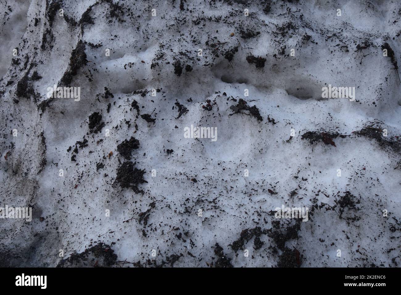 A close up of congested polluted snow Stock Photo