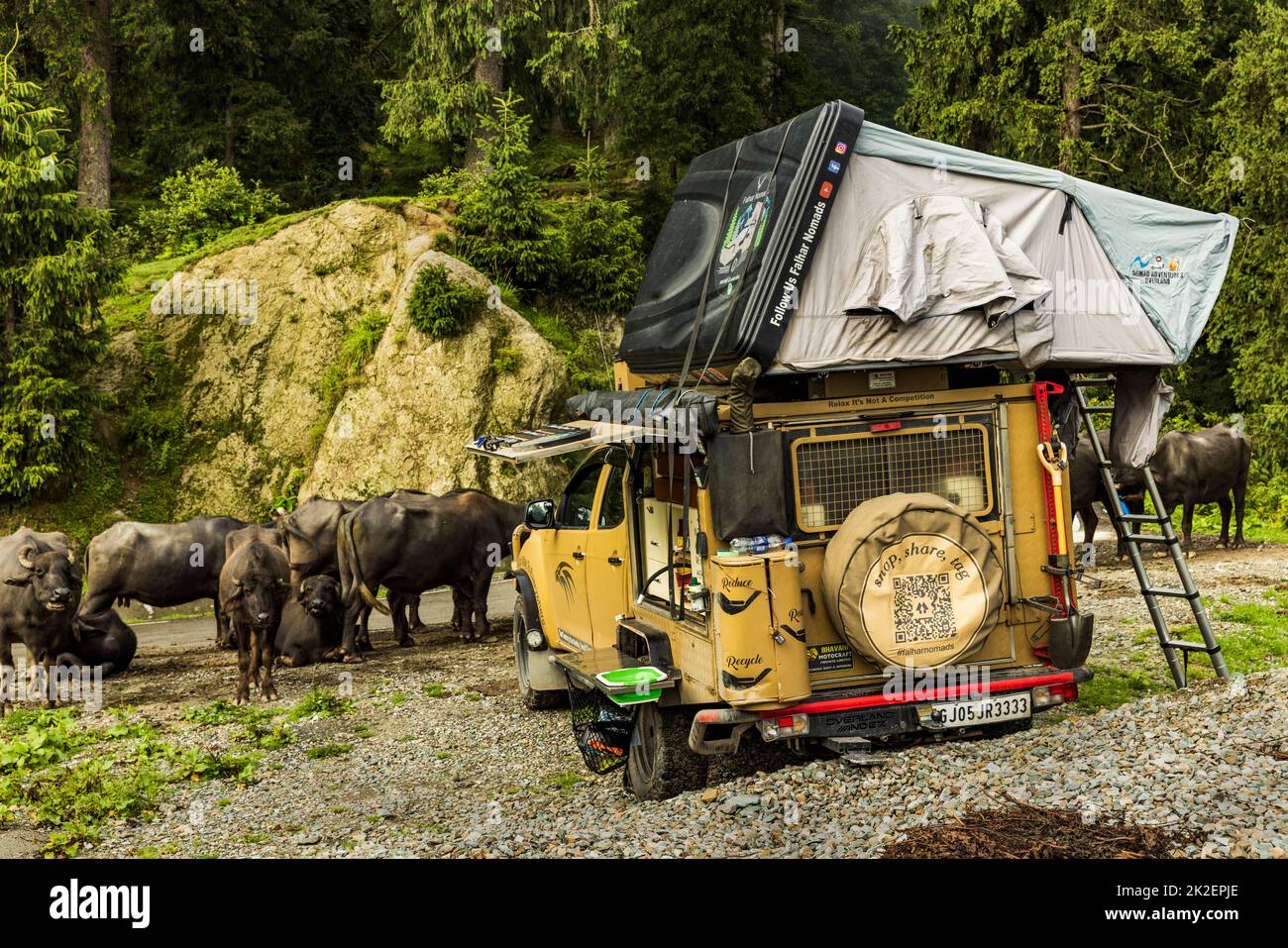 Camping in a car at Khajiar Forest area in Himachal Pradesh Stock Photo