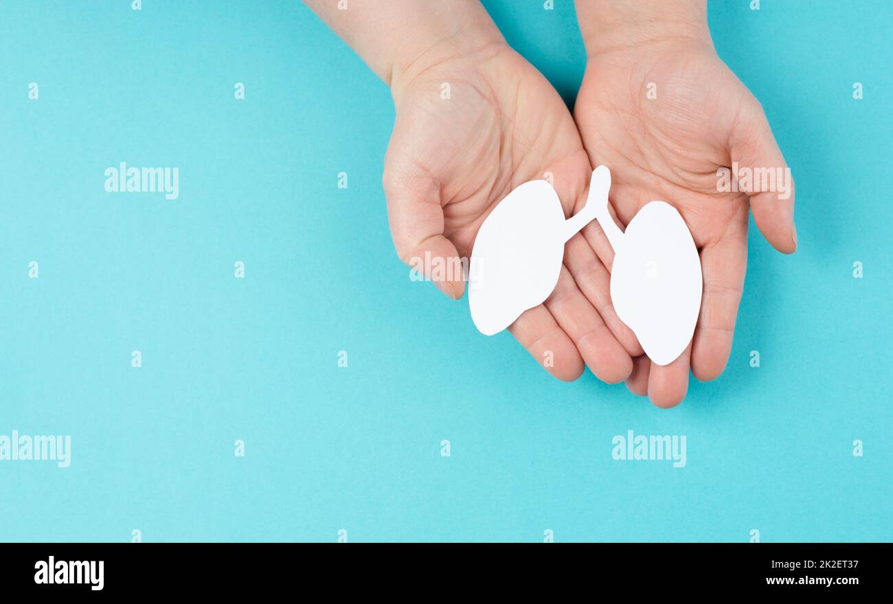 Holding paper lungs in the hand, lung cancer, covid-19 virus, world tuberculois day, no tabacco day, organ donation, air pollution concept Stock Photo