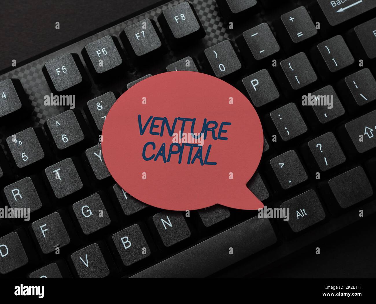Text sign showing Venture Capital. Business concept Venture Capital Inputting Important Informations Online, Typing Funny Internet Blog Stock Photo