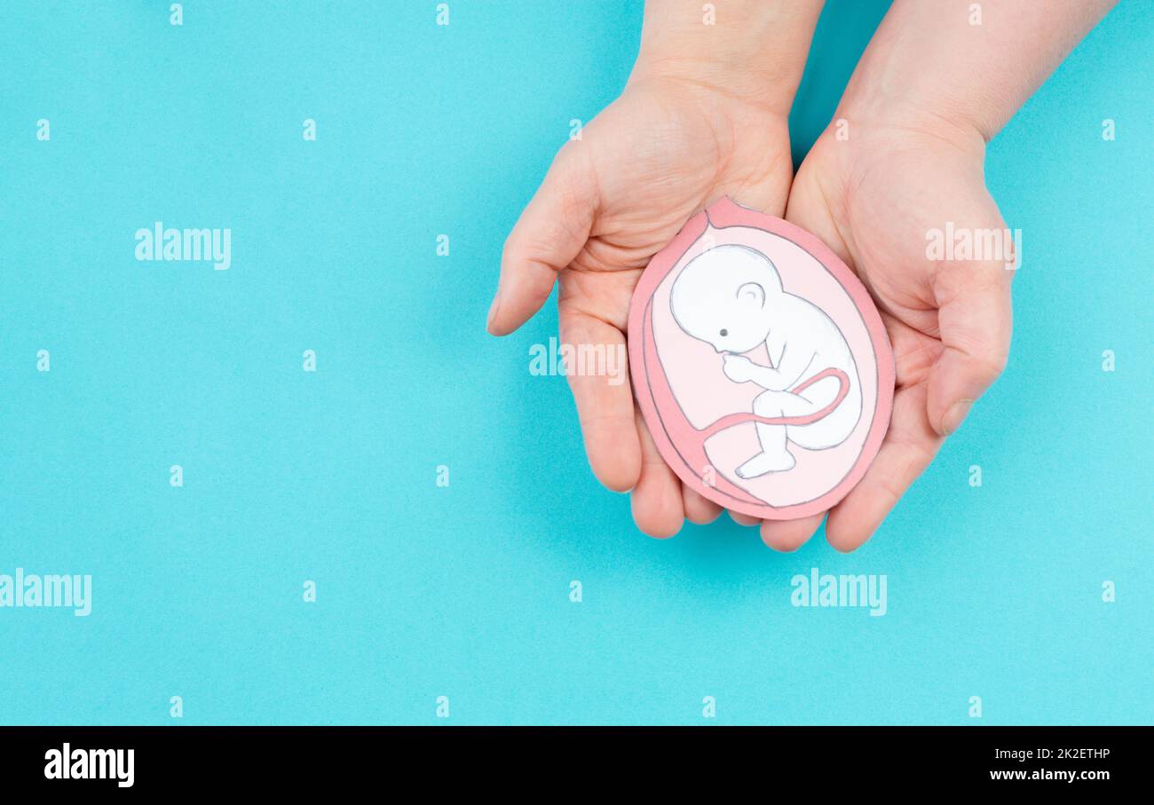 Unborn baby in the uterus, drawing of a fetus in the last trimester of pregnancy, childbirth and motherhood, gynecology health care Stock Photo