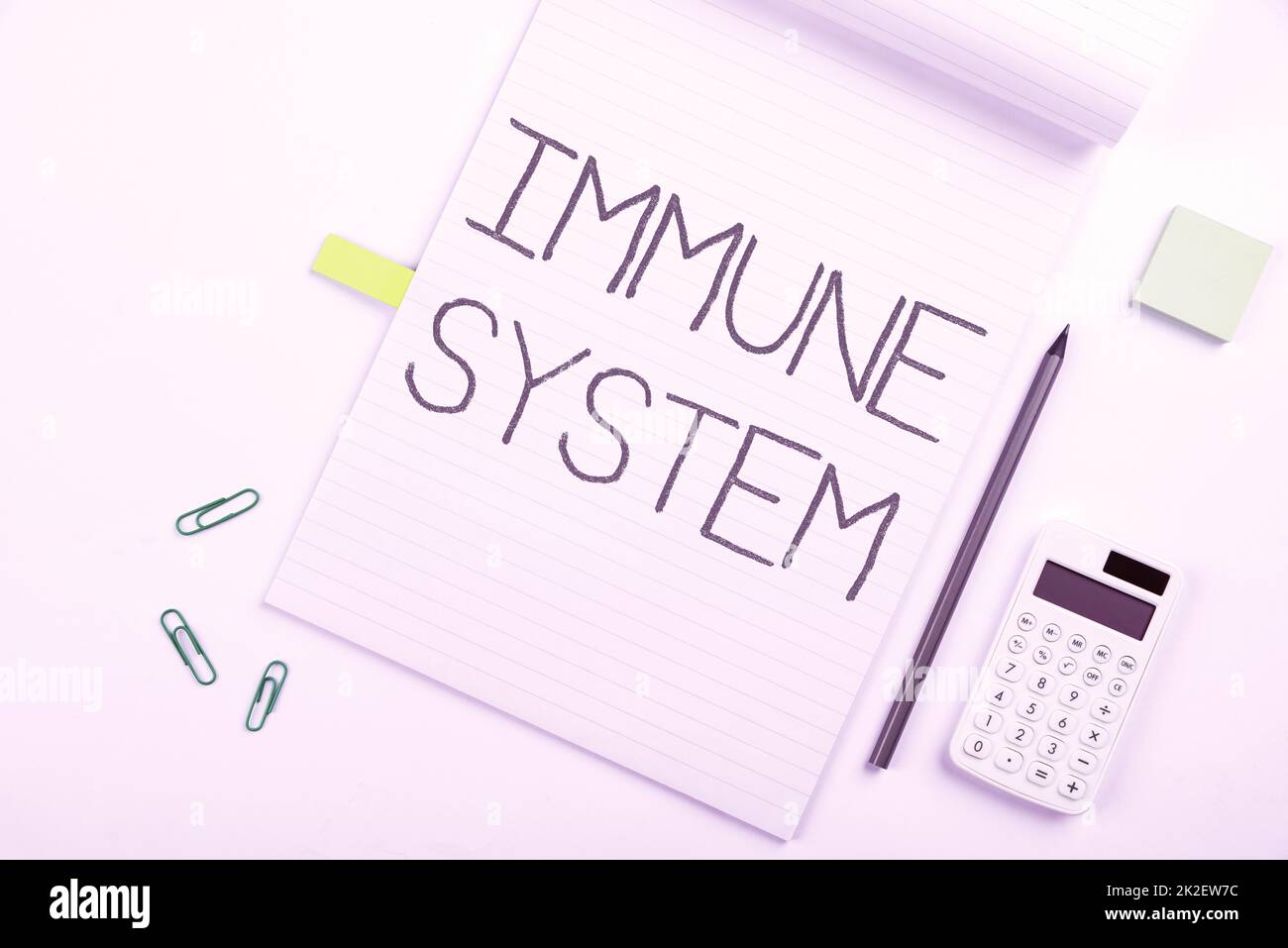 Writing displaying text Immune System. Concept meaning host defense system comprising many biological structures Multiple Assorted Collection Office Stationery Photo Placed Over Table Stock Photo