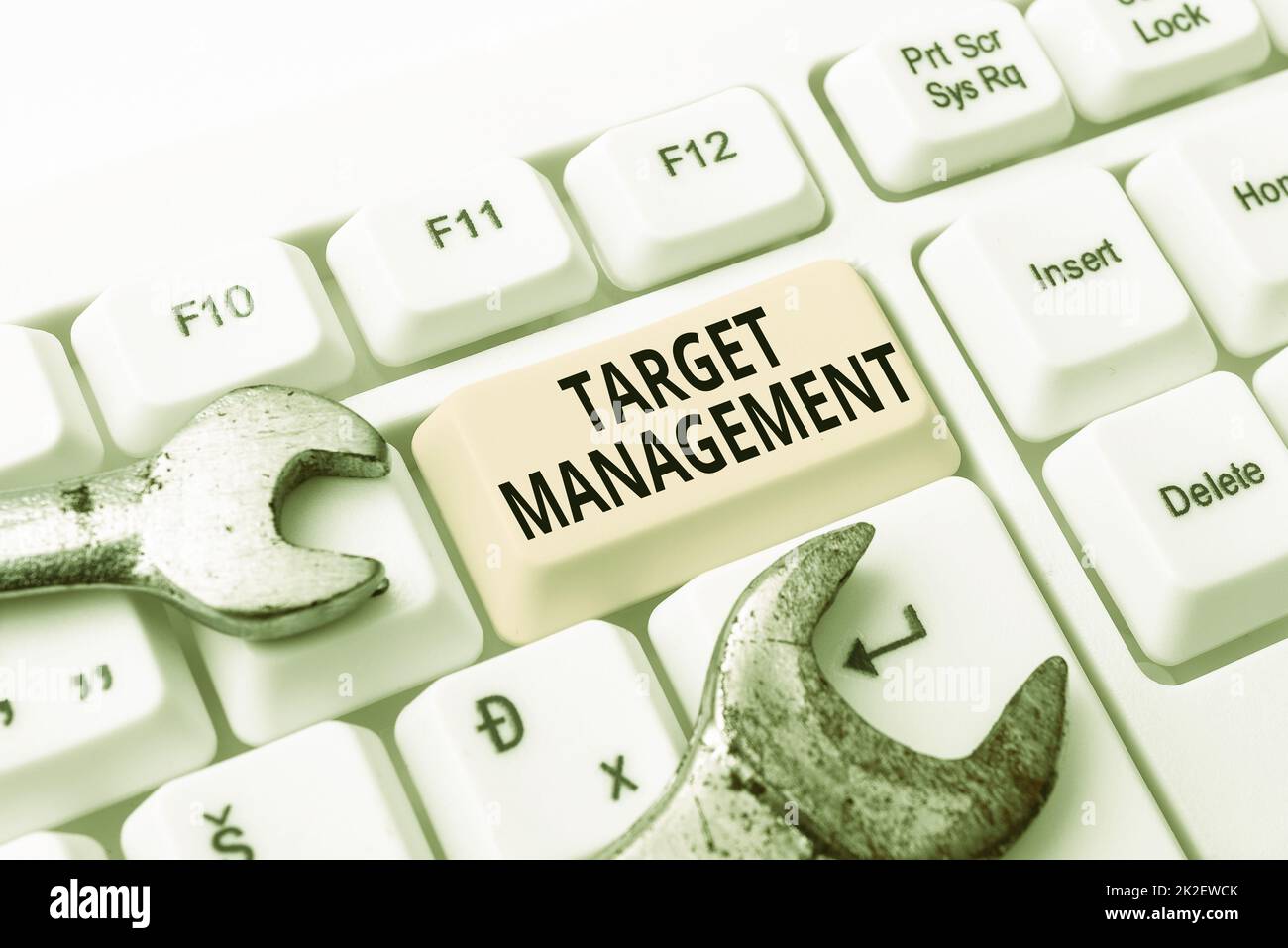 Inspiration showing sign Target Management. Business concept nurturing the engagement of customers in the business Formatting And Compiling Online Datas, Abstract Editing Spreadsheet Stock Photo