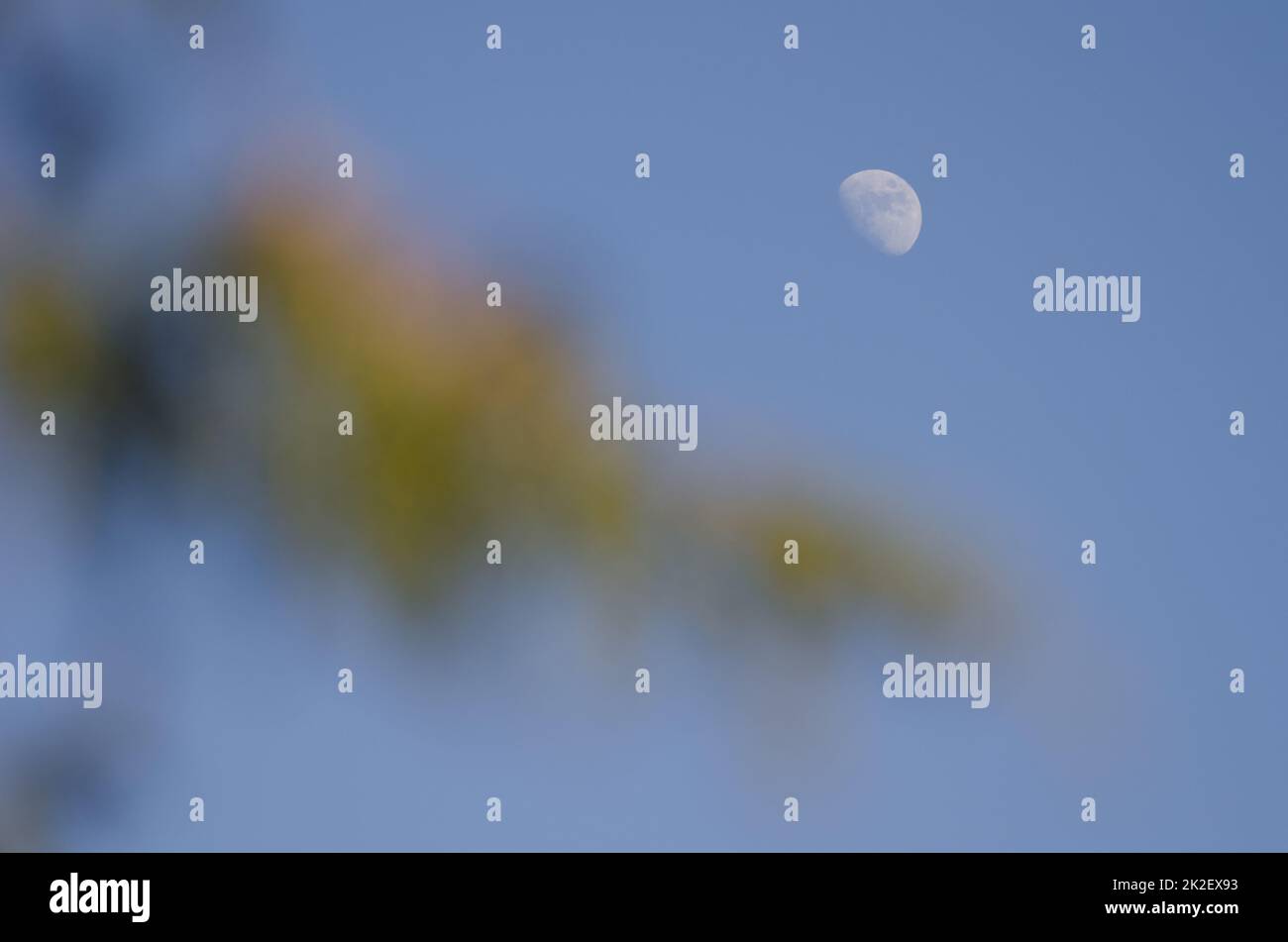 Waxing gibbous moon Stock Photo Alamy