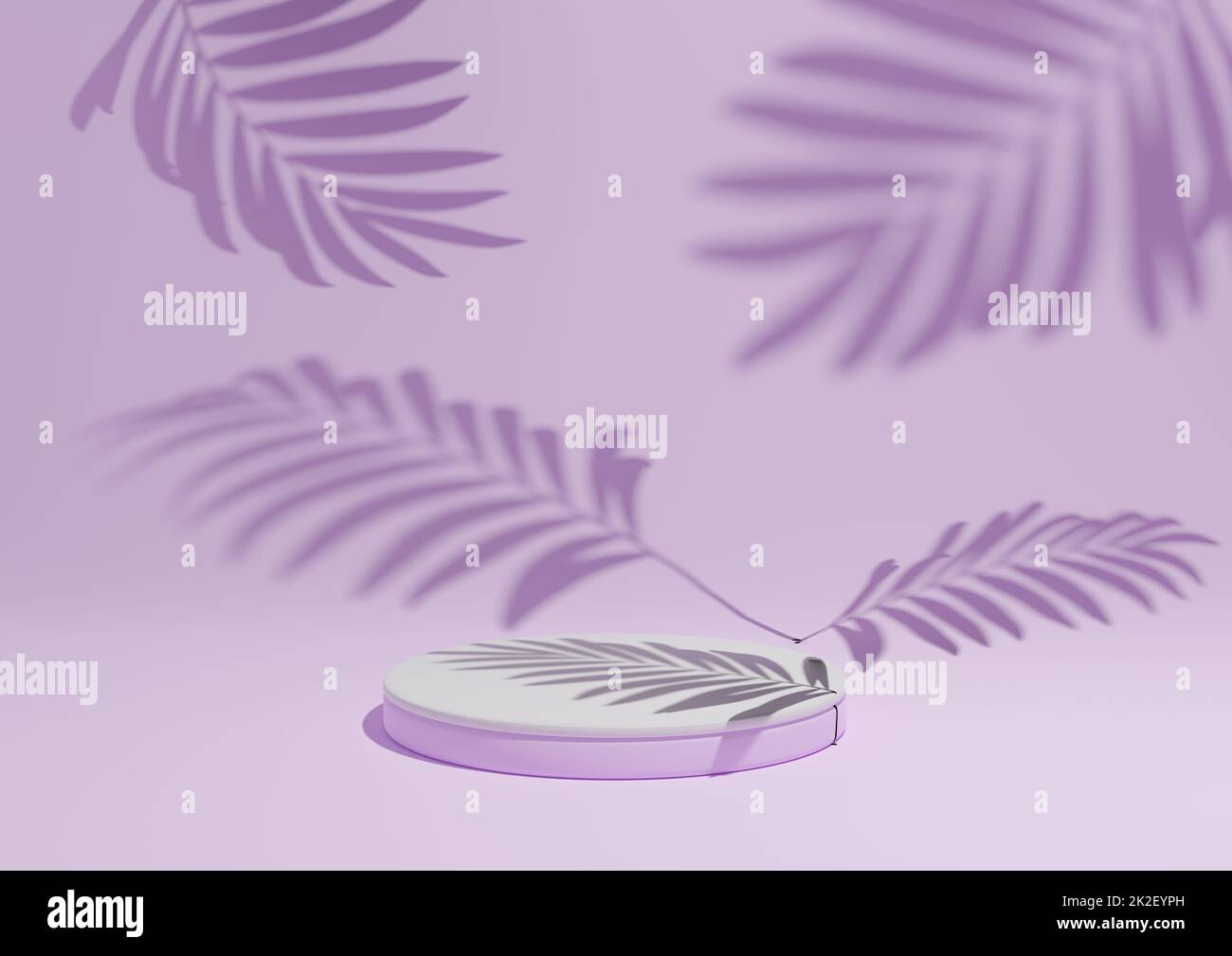 Light, pastel, lavender purple, 3D render of a simple, minimal product display composition backdrop with ont podium or stand and leaf shadows in the background for nature products. Stock Photo