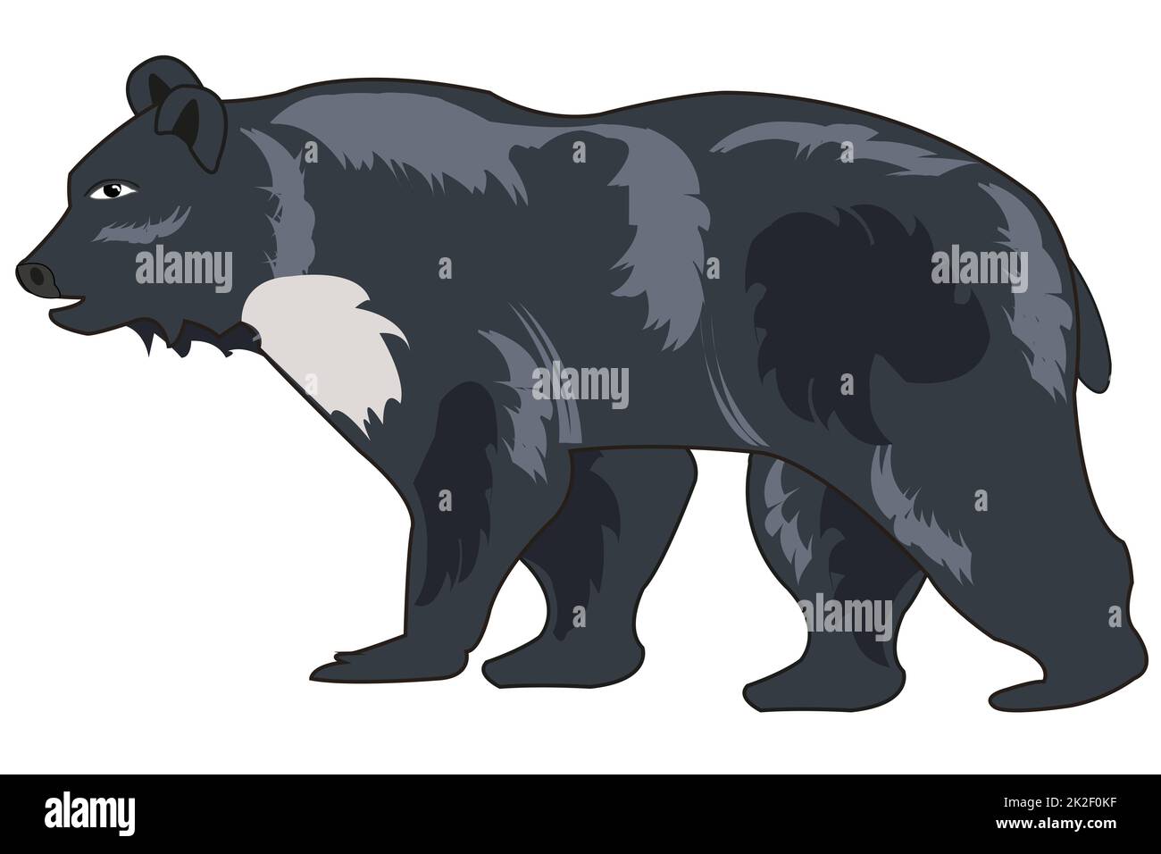 Himalayan bear black on white background is insulated Stock Photo