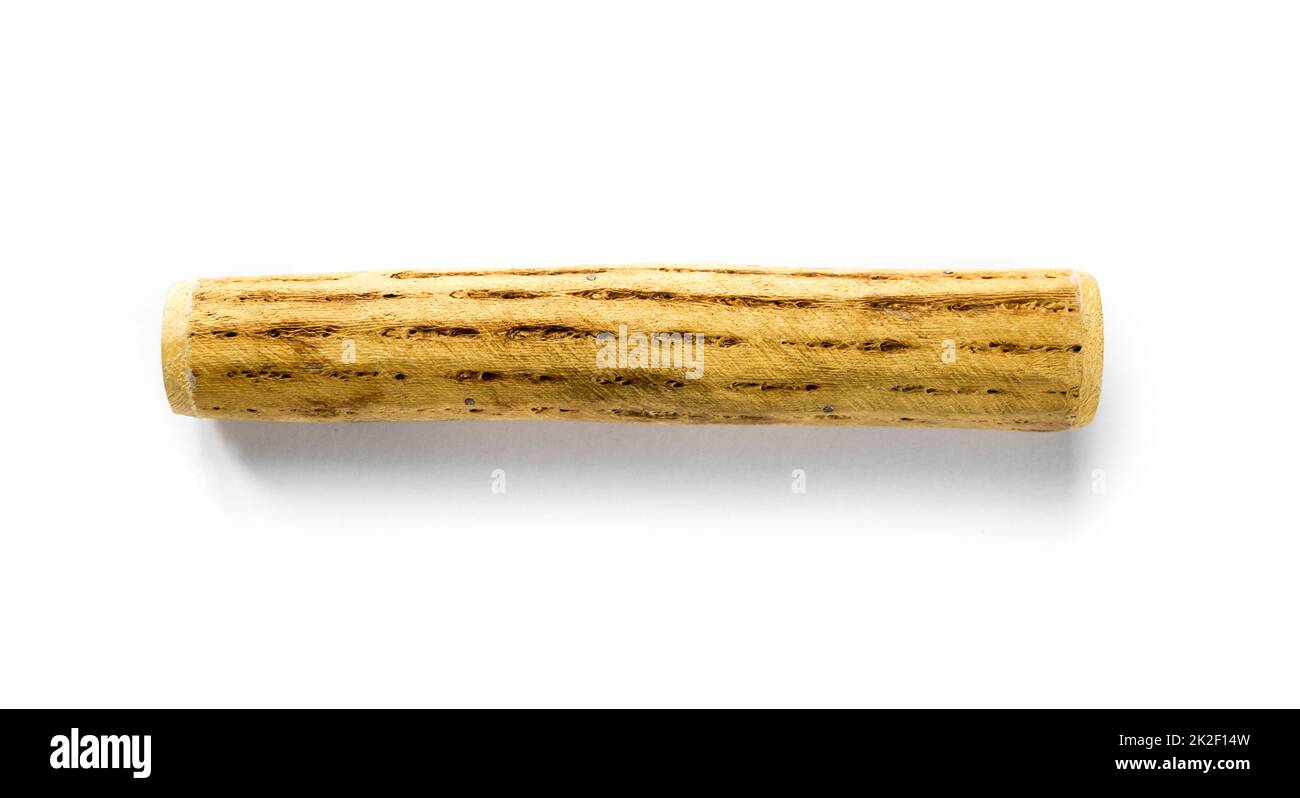 Traditional rain stick made of cactus wood isolated on white Stock
