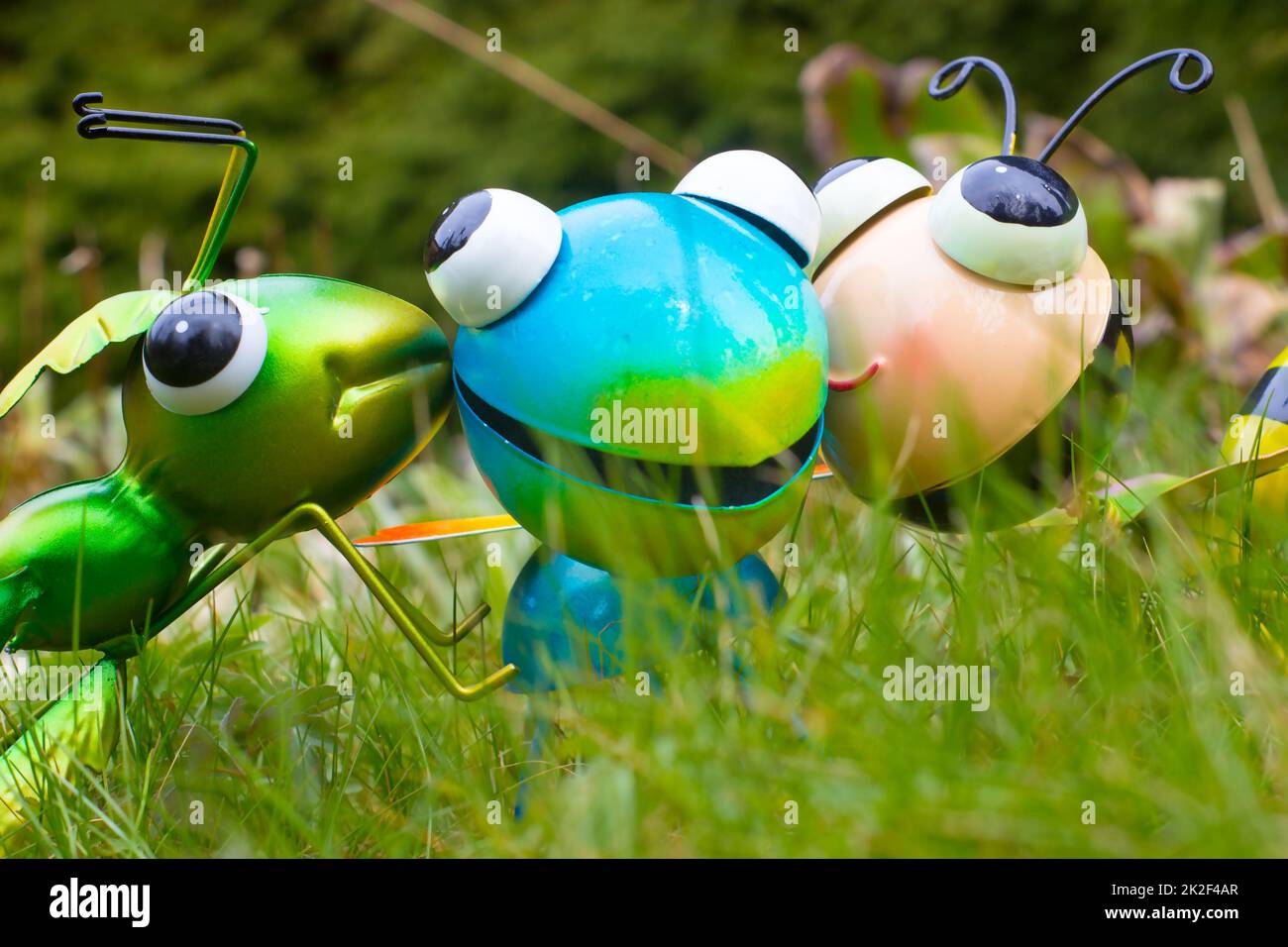 Tiin Insects Colorful insects hi-res stock photography and images - Alamy
