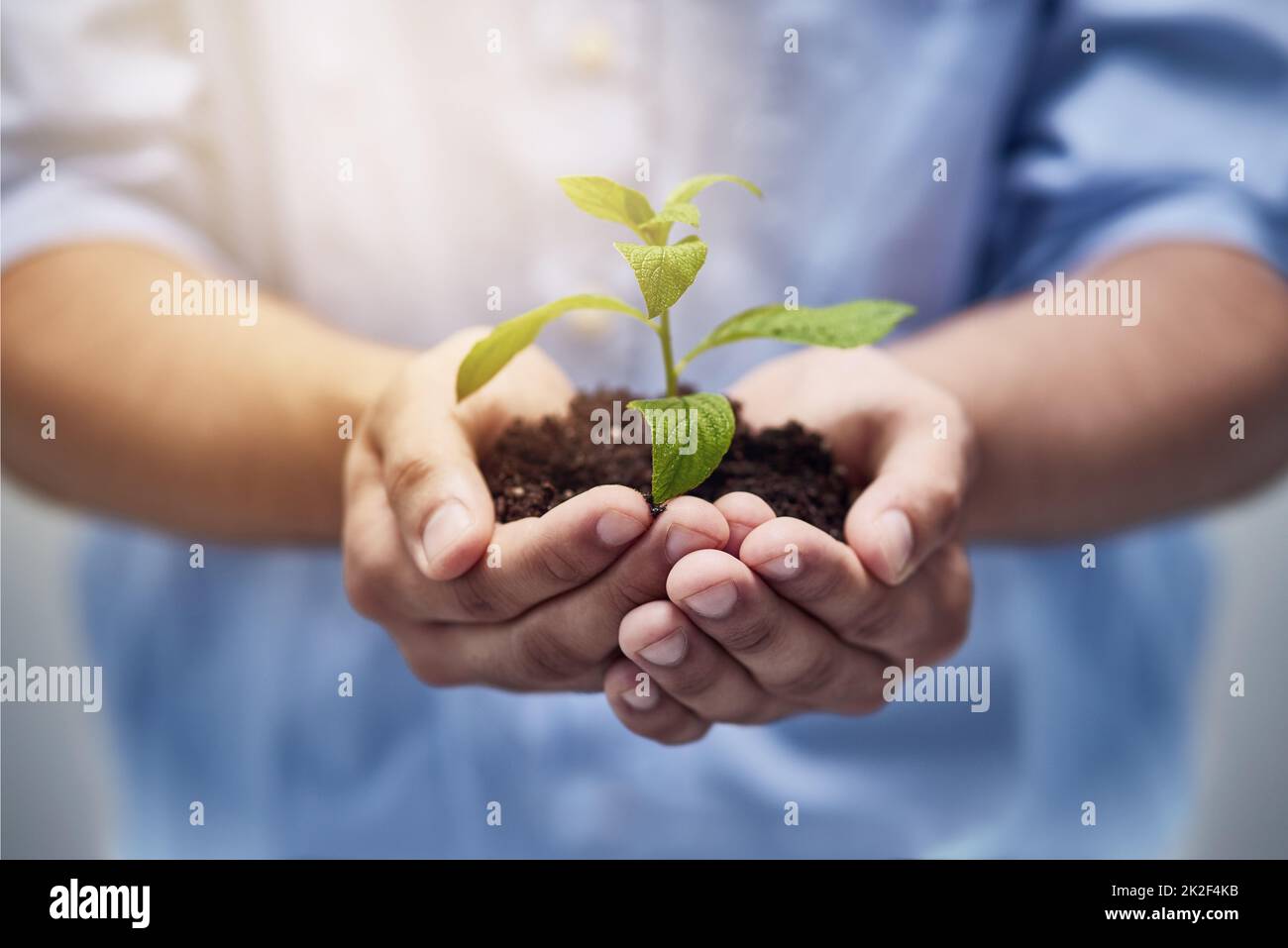 Growth and progress. Shot of hands holding a pile of soil with a plant in. Stock Photo