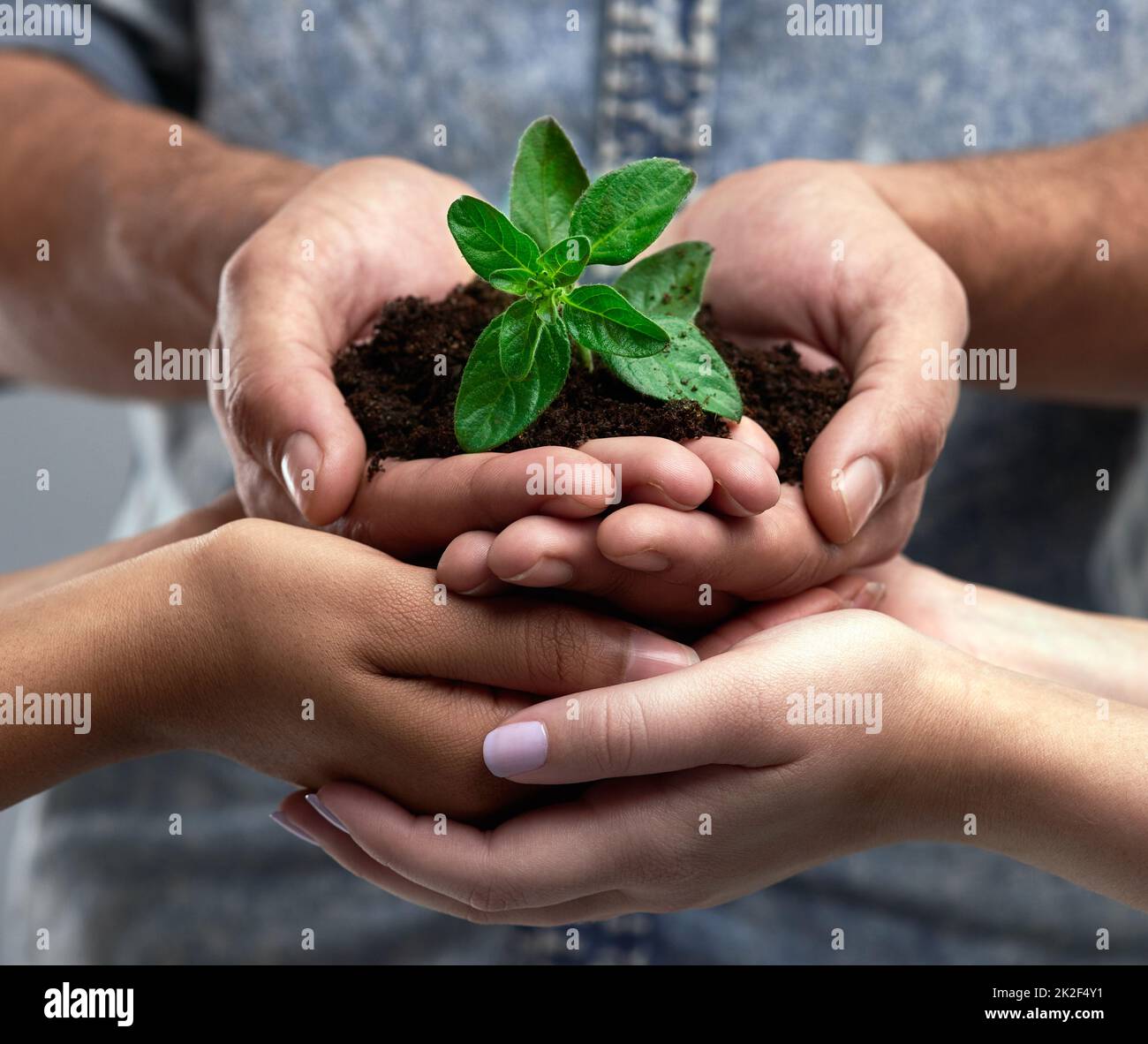 Were all a work in progress. Cropped shot of a group of people holding a plant growing out of soil. Stock Photo