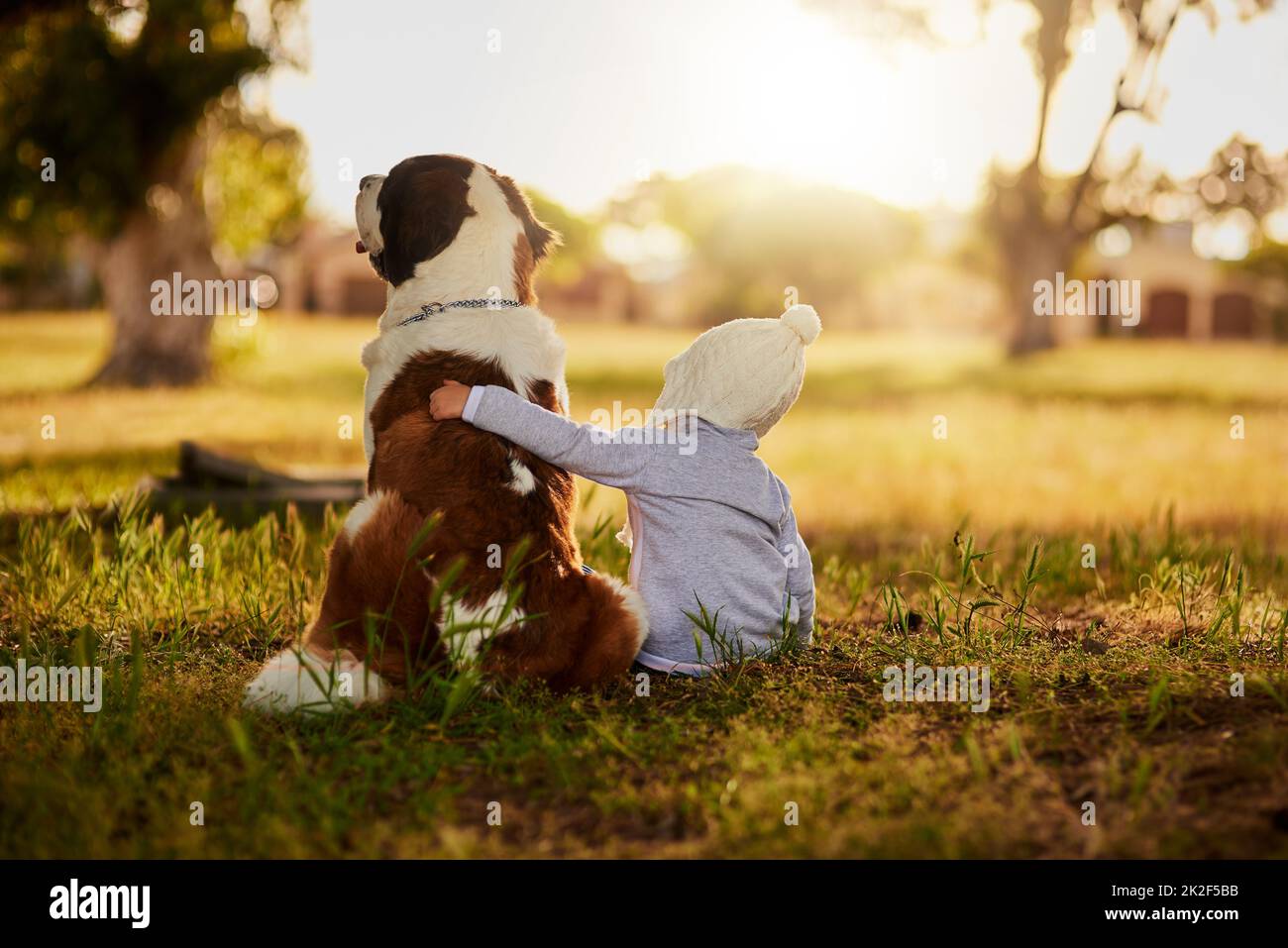 This giant has a gentle heart. Rearview shot of a cute little boy hugging his dog while they sit outside. Stock Photo