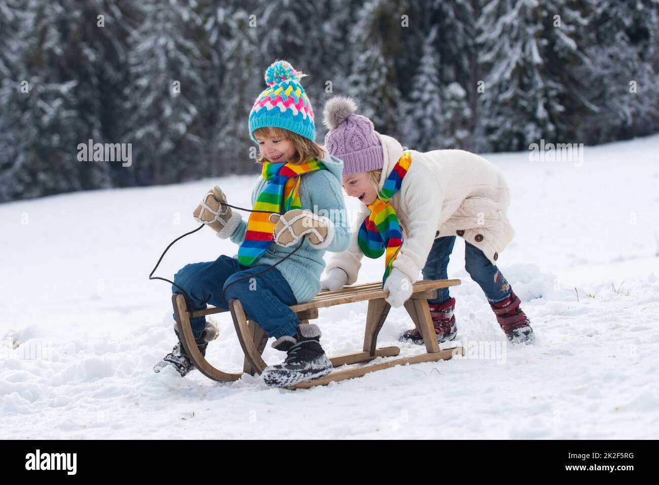 Children sledding, riding a sledge. Children son and daughter play in snow in winter. Outdoor kids fun for vacation. New Year wallpaper, Christmas Stock Photo
