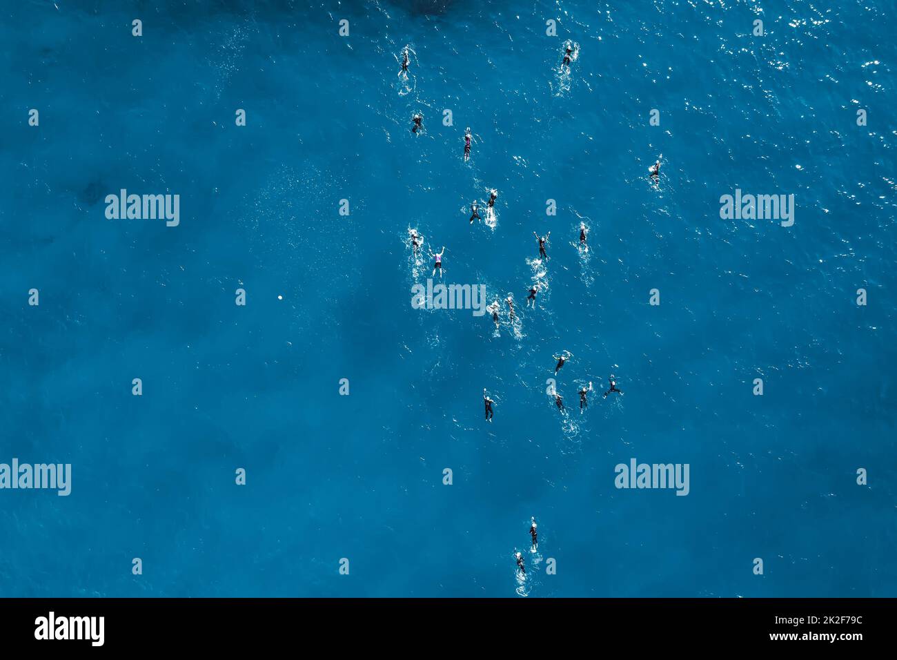 Topdown view of swimmers during open water competition Stock Photo
