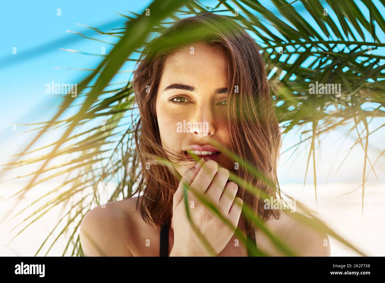 Oh what a beautiful summer. Shot of an attractive young woman standing under the shade of a palm tree at the beach. Stock Photo