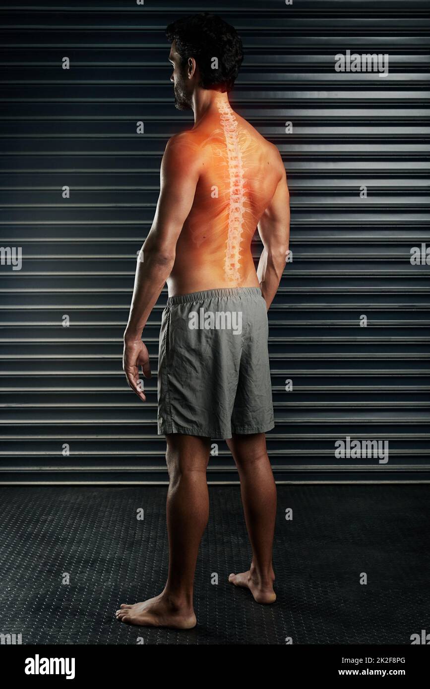 Athletic Sports Bodybuilder Demonstrates Posture from the Back Stock Photo  - Image of athletic, professional: 47496722