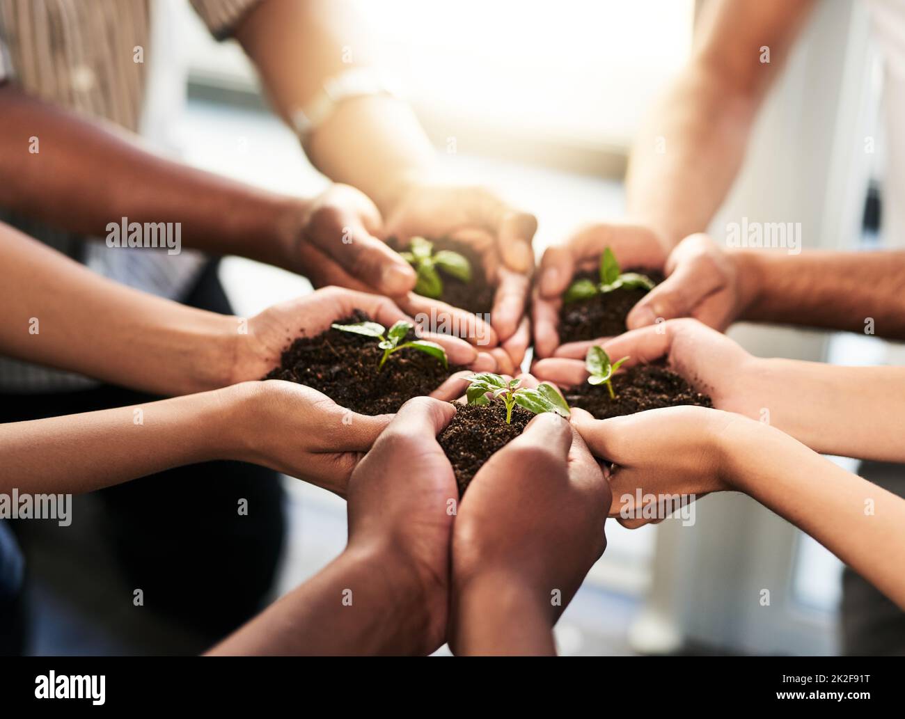 The future is in our hands. Cropped shot of a group of unrecognizable people holding plants growing out of soil. Stock Photo
