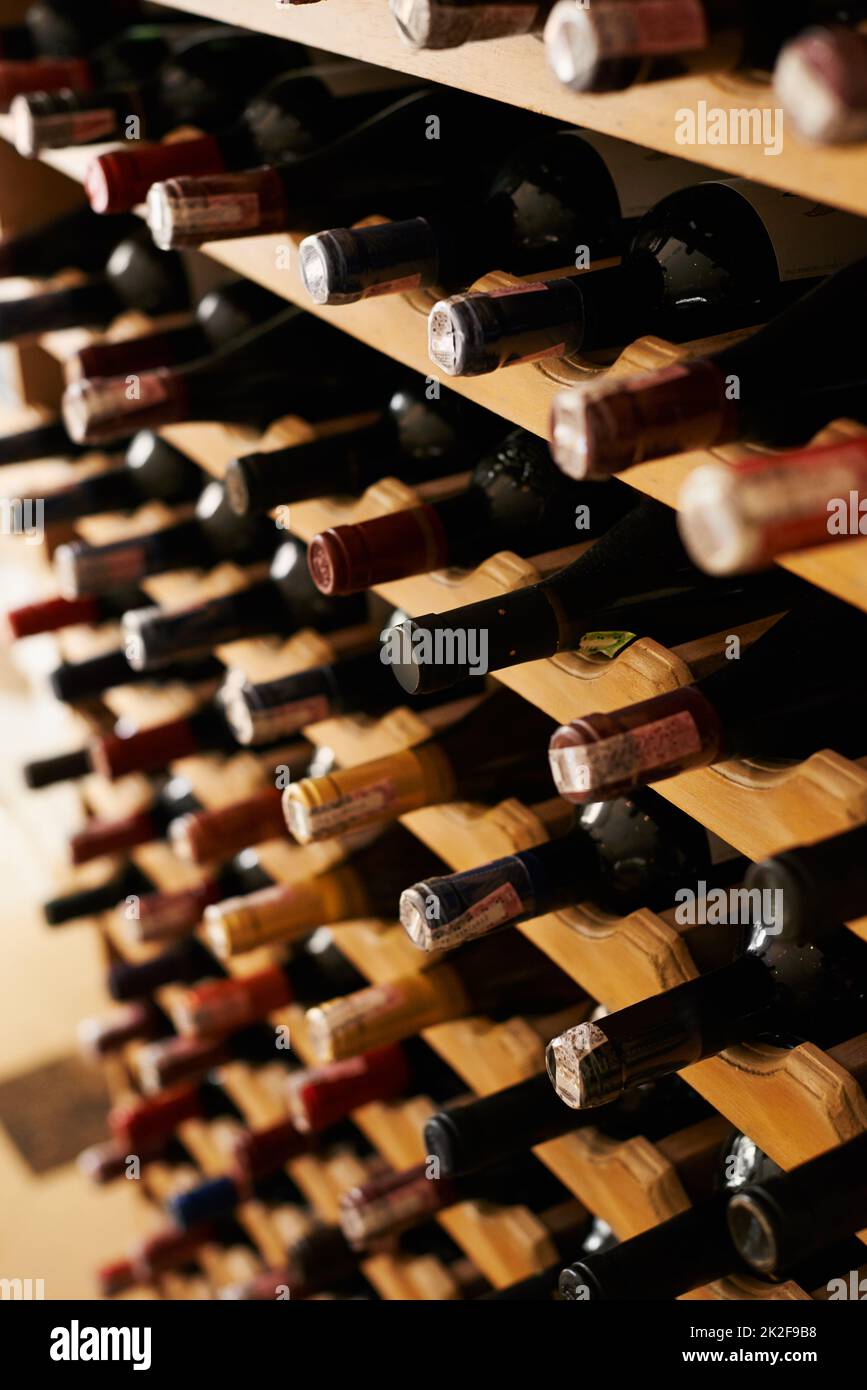 A feast for the pallet. A collection of wine bottles in a cellar. Stock Photo